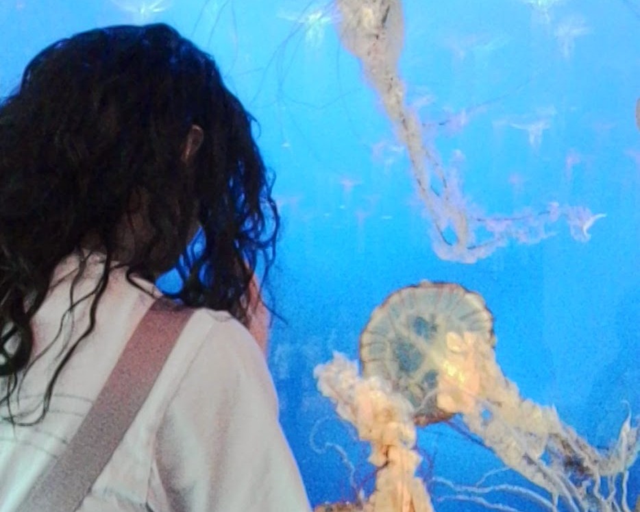 Daniel standing in front of a tank full of jellyfish.